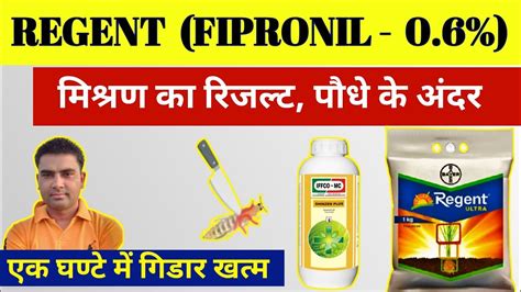 Regent Gr Fipronil Sc Insecticide Regent Gr Vs Regent Ultra