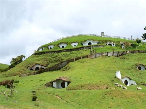 Real hobbit houses in new zealand : r/interestingasfuck