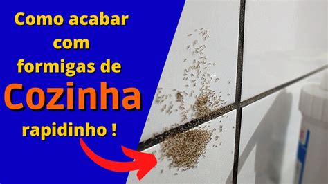 Você Não Vai Acreditar Como Acabar Com Formigas Na Cozinha é Tão Fácil