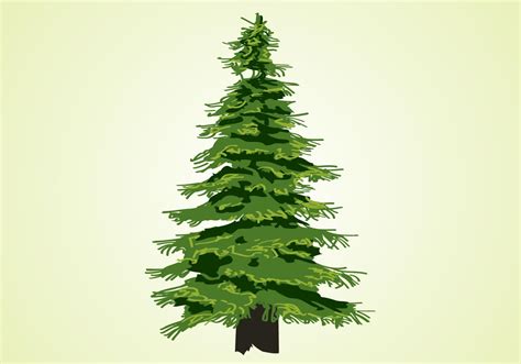 Evergreen Tree Svg