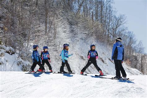 Family-Friendly Activities | Winter Vacations in Asheville, N.C.