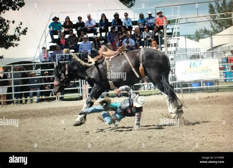 Bucked Off Horse Hi Res Stock Photography And Images Alamy