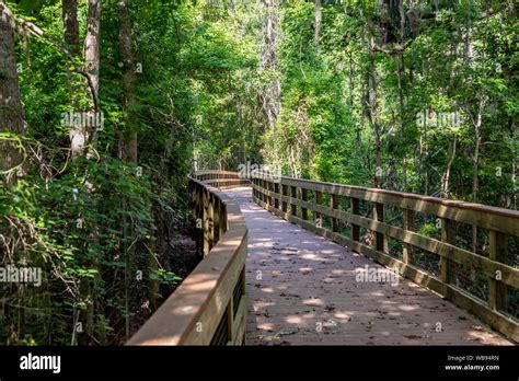 New Wooden Walk Bridges Stock Photo Alamy
