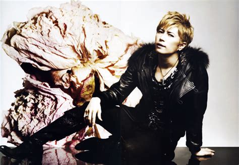 アペニン山脈の山と雪 Maxi Single Gackt Ps I Love U 20140212