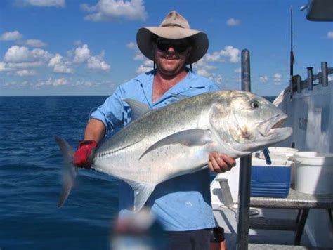 Trevally Giant Lure Fishing Records Deckee Community