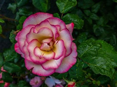 What Is Significance? - Chuyangtra.com 