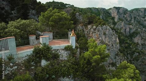 A Person Sits On A Balcony Edge Surrounded By Dense Foliage Of Pine