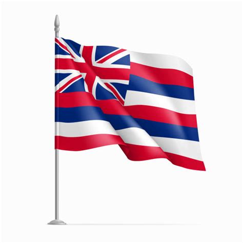 1700 Hawaii Flag Stock Illustrations Royalty Free Vector Graphics