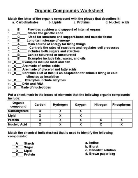 Organic Molecules Worksheet Review Answer Key Printable Word Searches