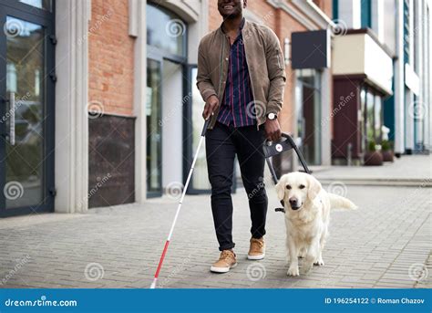 Young Blind Man With Stick And Guide Dog Walking Editorial Photography