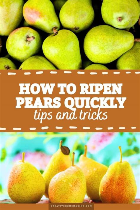 How To Quickly Ripen Pears Tips And Tricks Creative Homemaking
