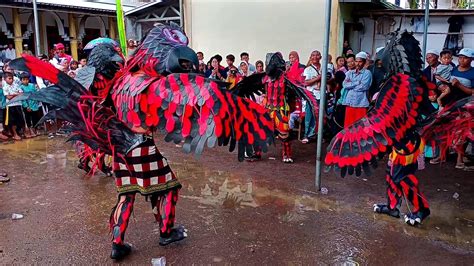 Pertarungan Burung Garuda New Maong Remas Di Pucang Anom Can Macanan