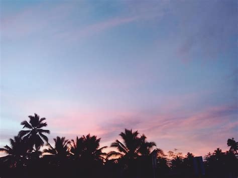 premium photo sa araw araw