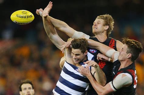 Geelong Vs Essendon Betting Tips Preview And Odds Can Geelong Drop On