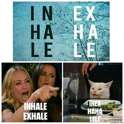 Inhale exhale vs inex haha lele cat meme - HindiBate.CoM