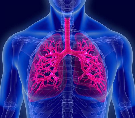 Tracheal Tumors Symptoms Causes Diagnosis And Treatment