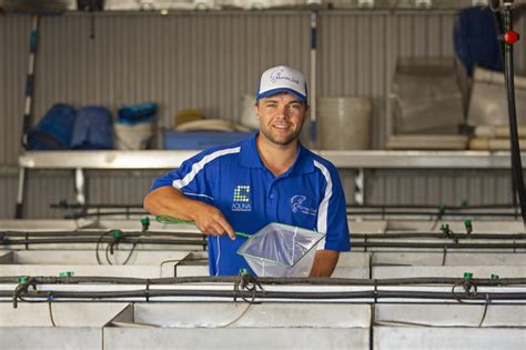 Murray Cod Farming Aquna Sustainable Murray Cod