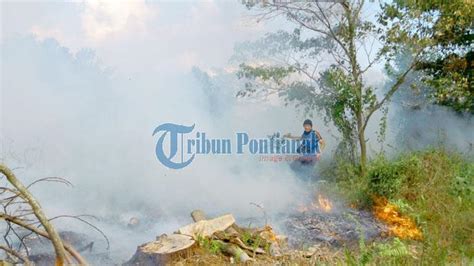 [foto Foto] Kebakaran Lahan Gambut Di Jalan Paris Ii Id