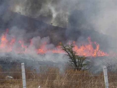 Afectan Incendios Más De 9 Mil Hectáreas De Selva En Campeche