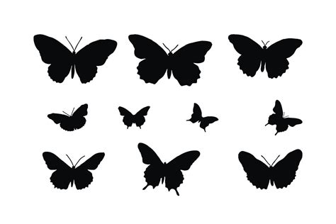 Cute Butterflies Silhouette Set Vector On A White Background Butterfly