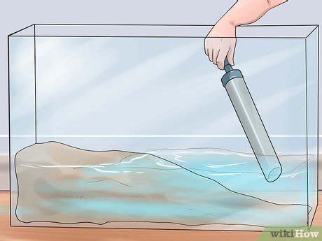 Formas De Mantener A Tu Tortuga Feliz Wikihow