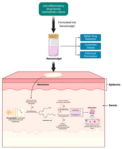 Pharmaceutics Free Full Text An Overview Of Nanoemulgels For