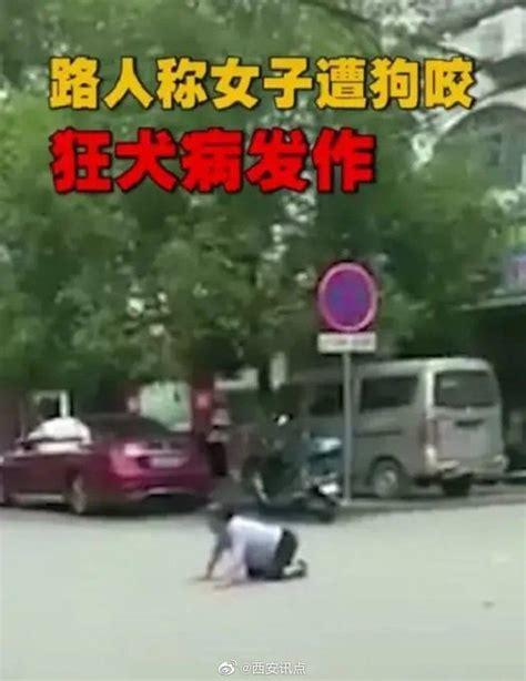 大妈当街学狗爬狗叫 ，网传其狂犬病发作狂犬病大妈当街新浪新闻