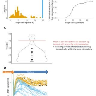 Lag phase is heterogeneous, yet not purely stochastic. (A) Histogram of ...