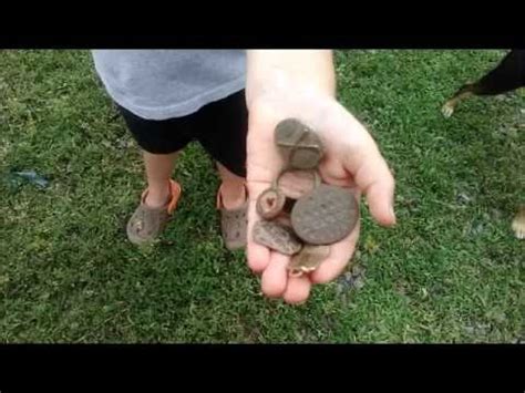 Ep Detecting With My Year Old Ring Relics Metal Detecting