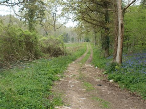 Charborough Park Farm Track Mike Faherty Cc By Sa 2 0 Geograph