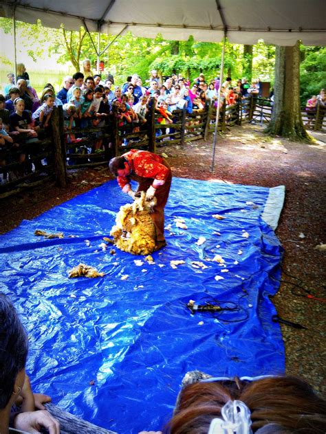 Bluebird Travels: Atlanta History Center and The Art of Living