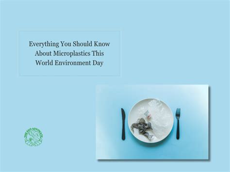 Everything You Should Know About Microplastics This World Environment ...