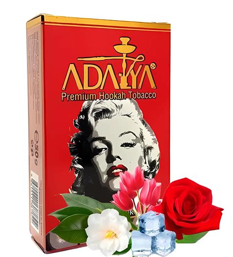 Adalya Marilyn Monroe 50g Kup tytoń do sziszy po okazyjnej cenie