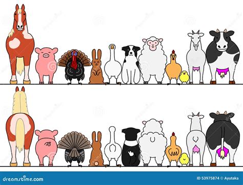 Farm Animals In A Row, Front And Back Stock Illustration - Image: 53975874