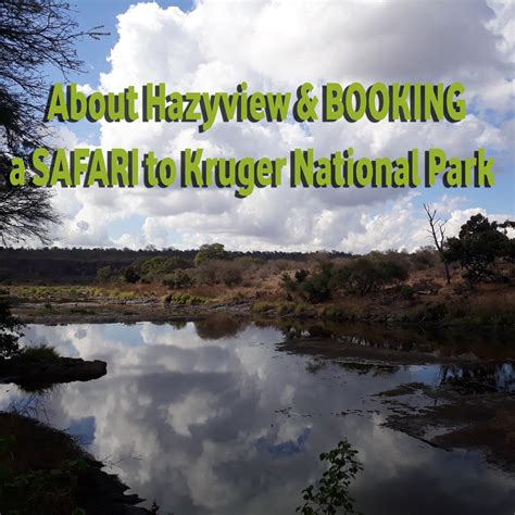 Safari from Hazyview | Book a guided safari Today! | Lion Roar Safaris