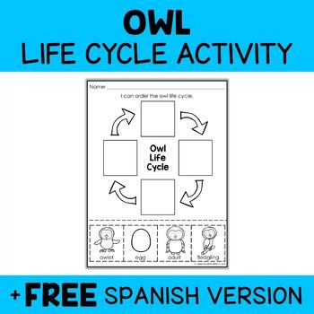 Snowy Owl Life Cycle Activity By Nicole And Eliceo TpT