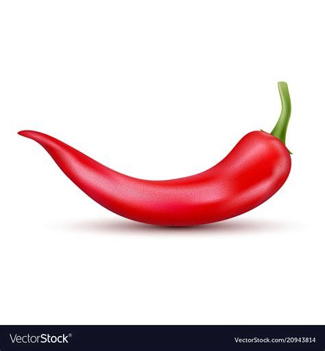 Fresh Red Hot Chili Pepper Mexican Royalty Free Vector Image