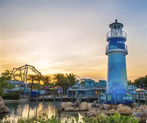 Seaworld Orlando Offers Free Unlimited Admission For Florida Teachers
