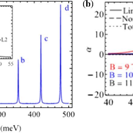 A Linear Magneto Optical Absorption Coefficient With Respect To The