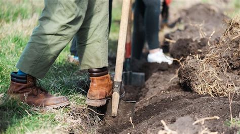 Voluntarios plantando árboles en la naturaleza Foto Gratis