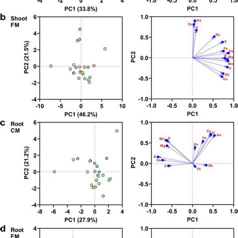 Principal Component Analysis Pca Biplots Left And Loading Plots