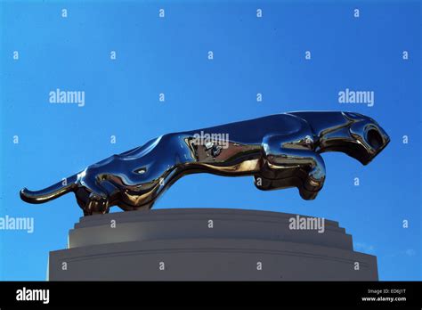 Jaguar Motors Emblem Metal Hood Ornament Stock Photo Alamy