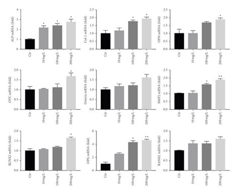 Effects Of Gkc On The Osteogenic Differentiation Of Saos Cells A