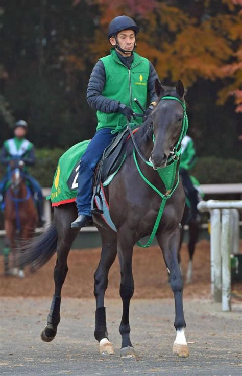 【pog】ヴァーダイト 新砂王の兄クリソベリルとは違うタイプ 全姉もg1馬競馬・レースデイリースポーツ Online