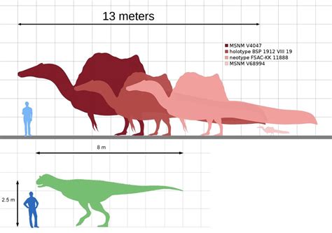 Spinosaurus (Jurassic Park) VS Carnotaurus (Dinosaur), Spinotaurus : r ...