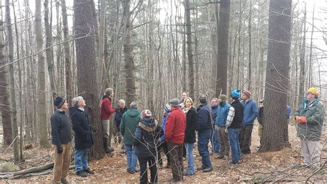 Celebrating 40 Years Of The Vermont Land Trust Cold Hollow To Canada