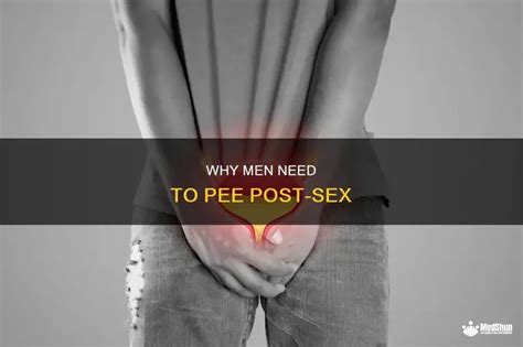 Why Men Need To Pee Post Sex MedShun