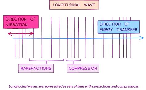 Transverse And Longitudinal Waves Physics For Gcseigcse Year 11 Pdf Download