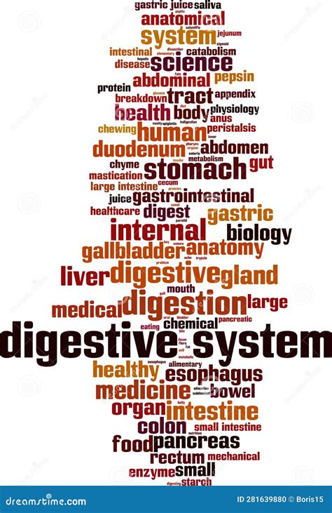 Nuvem De Palavras Do Sistema Digestivo Ilustra O Do Vetor Ilustra O