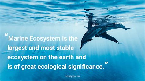 Marine Ecosystem is the largest and most stable ecosystem on the earth and is of great ...